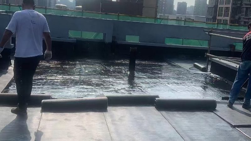 德高JS防水涂料：揭秘其性能与适用场景**